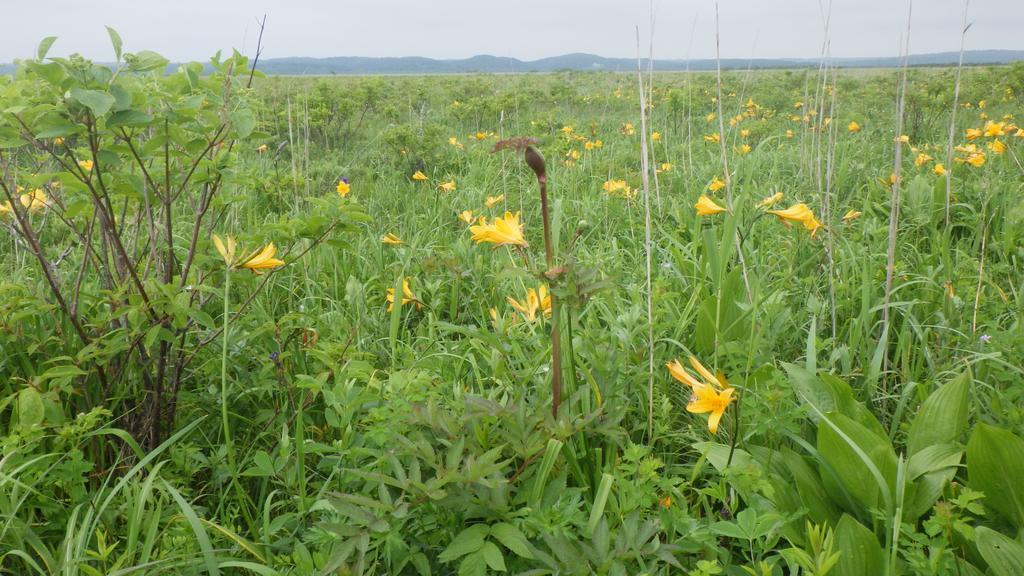 Гостьовий будинок Kiritappuri Hokkaido Екстер'єр фото