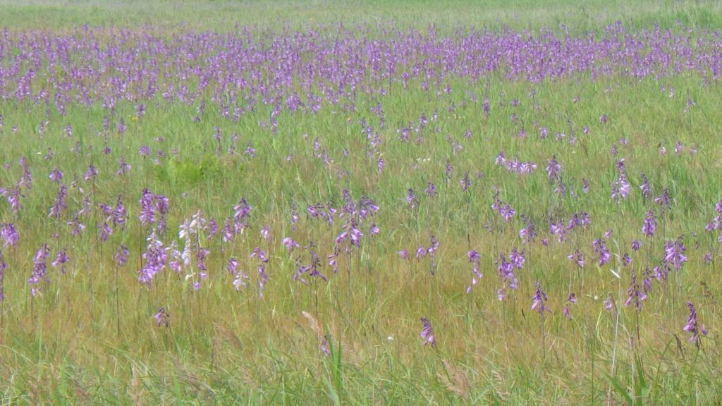 Гостьовий будинок Kiritappuri Hokkaido Екстер'єр фото