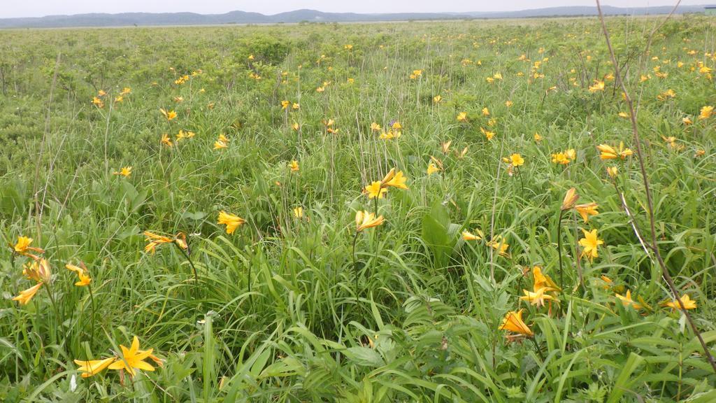 Гостьовий будинок Kiritappuri Hokkaido Екстер'єр фото